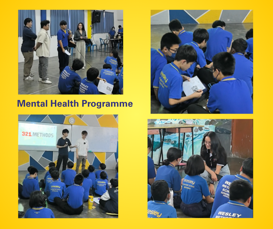 Mental Health Programme